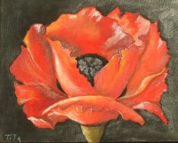 /album/a102-peintures-sur-huile/b25c-86-dscf8842-coquelicot-%28petit-mod%c3%a8le%29-dec-2010-jpg/